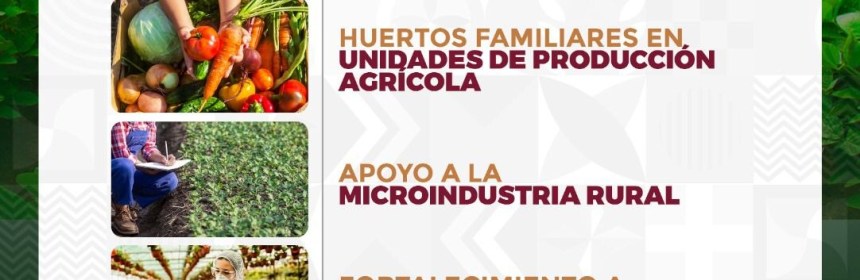 Convocatoria de apoyos para el campo 2023